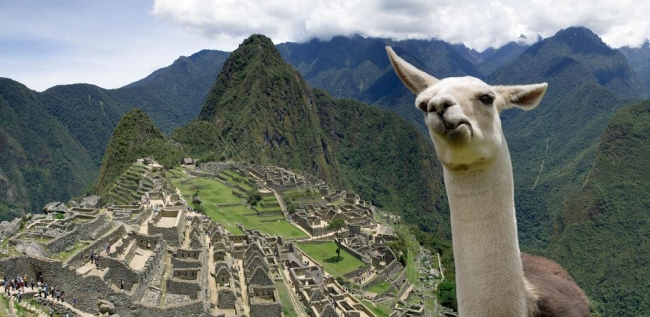 Machu Picchu 