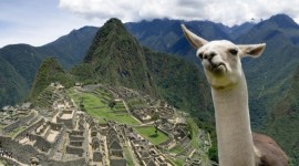 Machu Picchu 